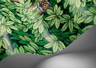 Cole & Son Foglie e Civette Wallpaper in Forest Green